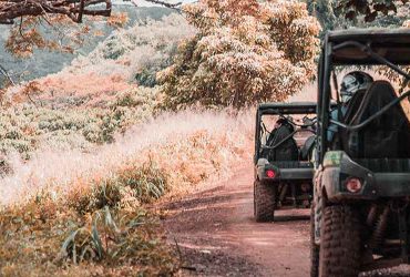 Utility UTVs on road